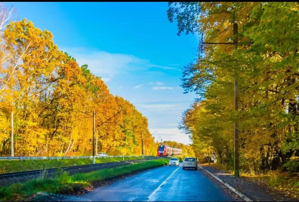 1-к кв. Калининградская область, Светлогорск бул. Морской, 17к6 (46.0 ... - Фото 2