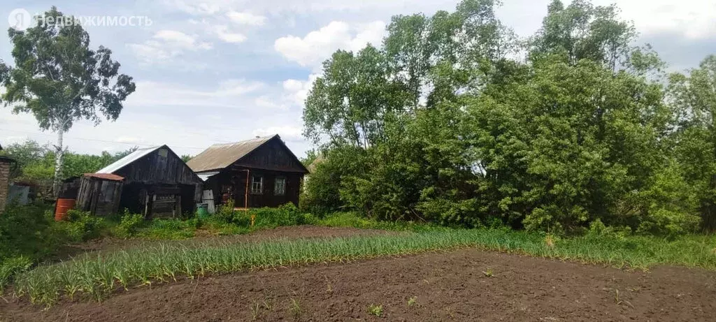 Купить Дом В Пензенской Области Вазерки