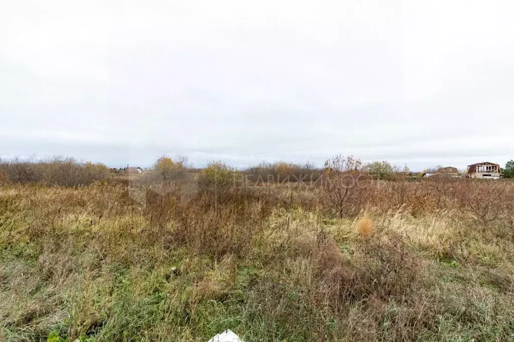 Участок в Тюменская область, Тюмень Рябинка-2 садовое товарищество,  ... - Фото 2