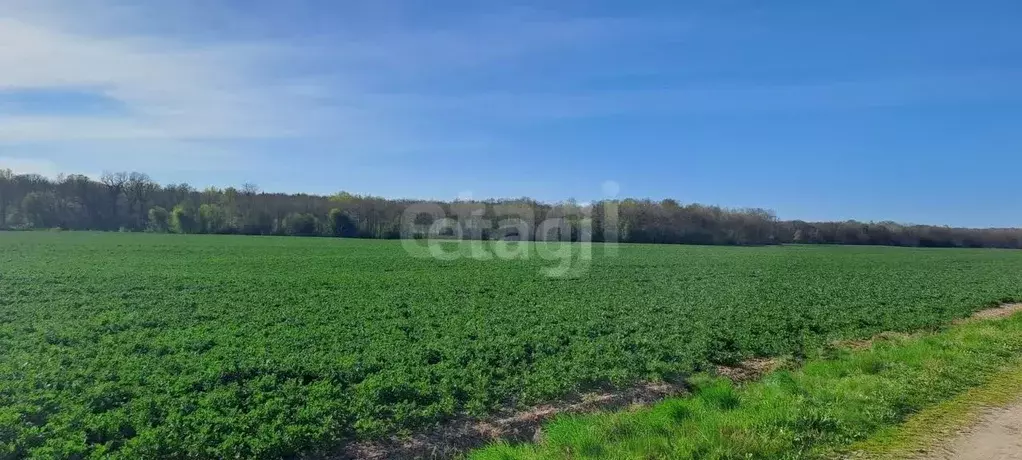 Участок в Калининградская область, Гвардейский муниципальный округ, ... - Фото 1