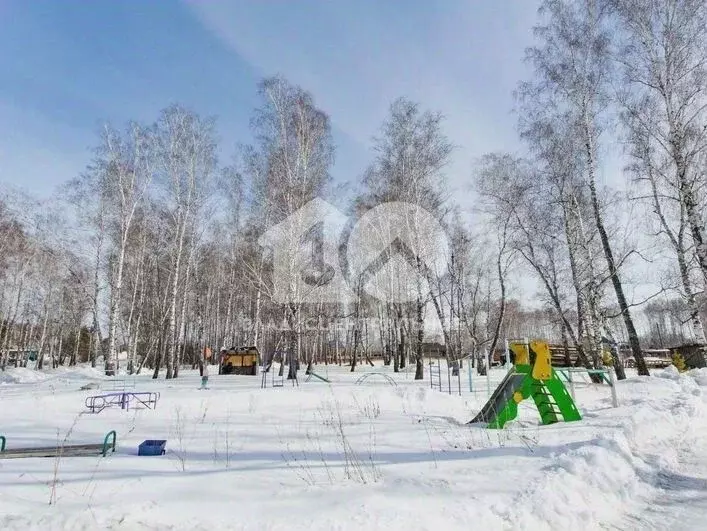 Участок в Новосибирская область, Новосибирский район, Кудряшовский ... - Фото 1