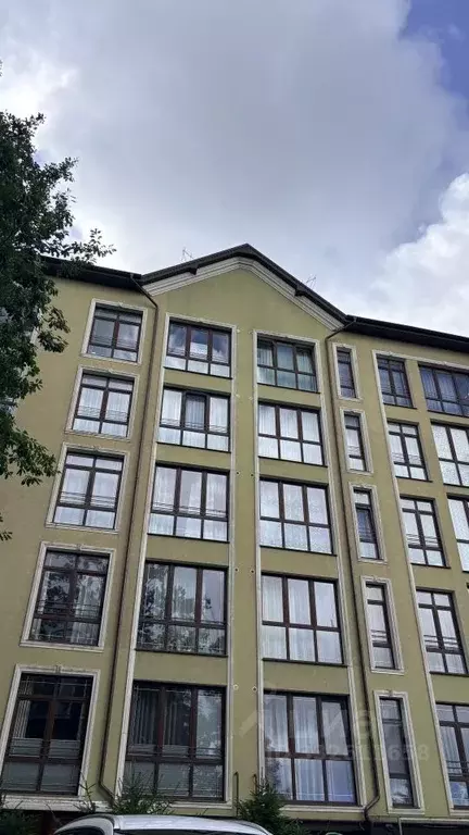 Помещение свободного назначения в Калининградская область, Светлогорск ... - Фото 1