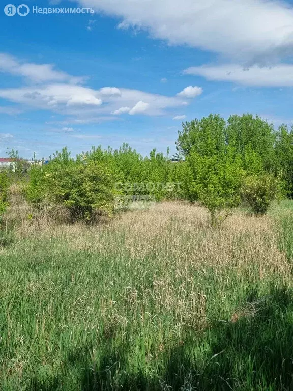 Дом в село Каширское, улица 9 Января, 59 (33.1 м) - Фото 1