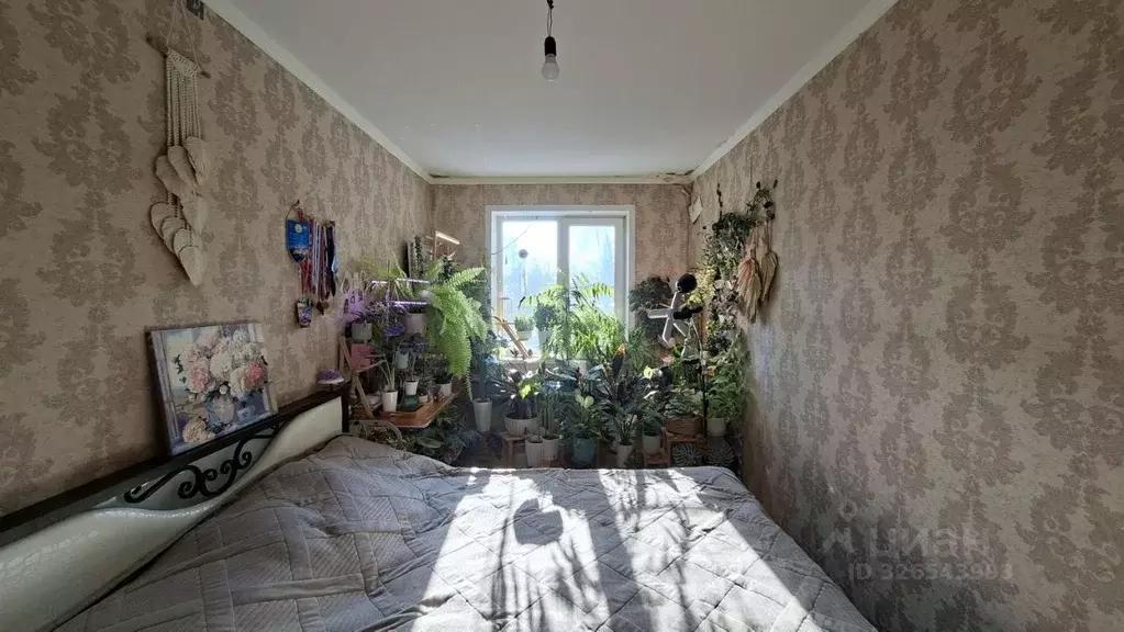 2-к кв. Липецкая область, Липецк ул. М. Горького, 13/2 (44.1 м) - Фото 1