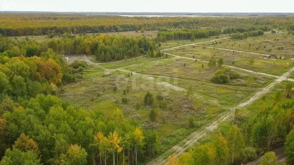 Участок в Нижнетавдинский район, Ключевское сельское поселение, СНТ ... - Фото 1