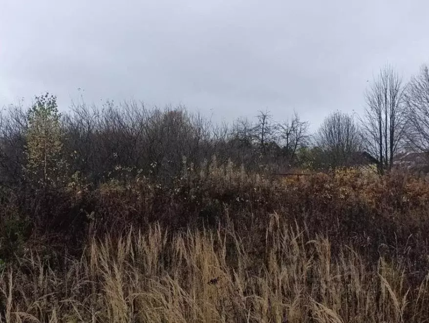 Участок в Московская область, Дмитровский муниципальный округ, д. ... - Фото 0