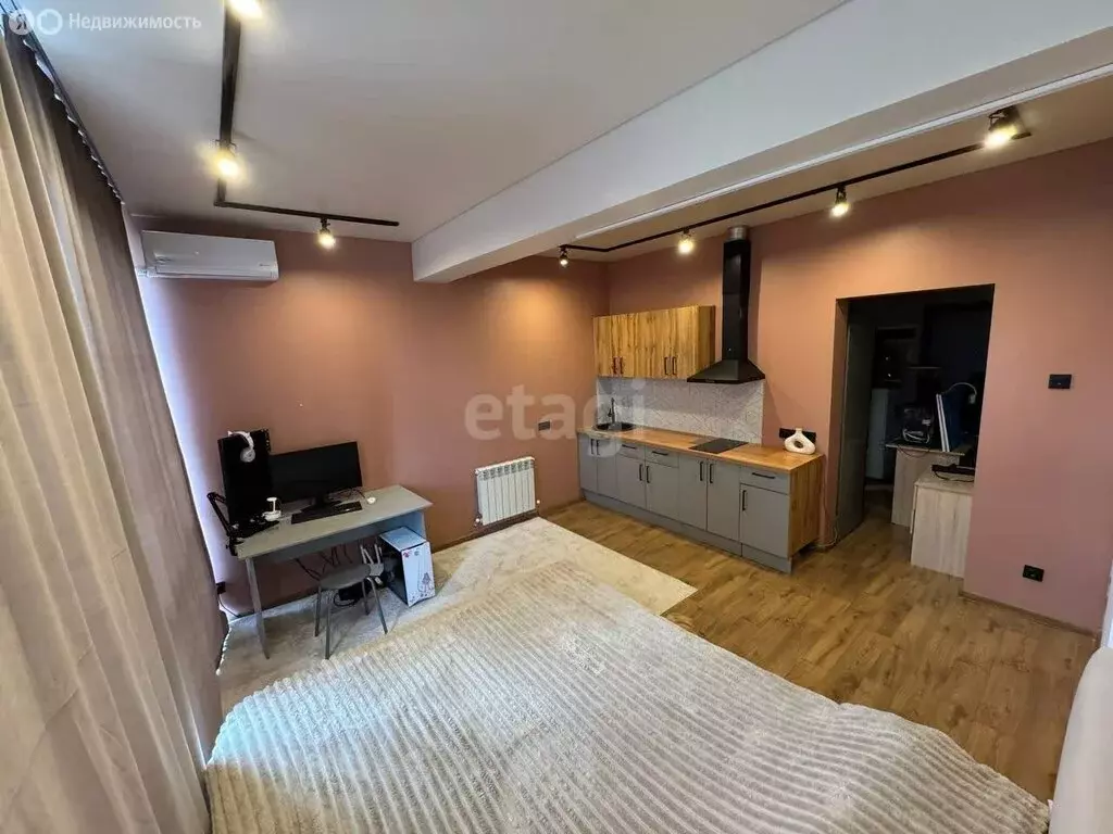 Квартира-студия: Воронеж, Кавалерийская улица, 8 (29.5 м) - Фото 2