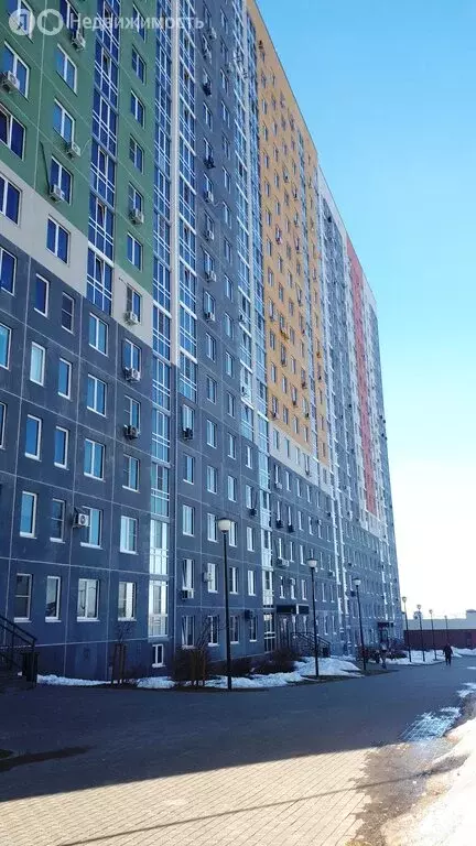 Квартира-студия: деревня Анкудиновка, Русская улица, 4 (19.4 м) - Фото 2