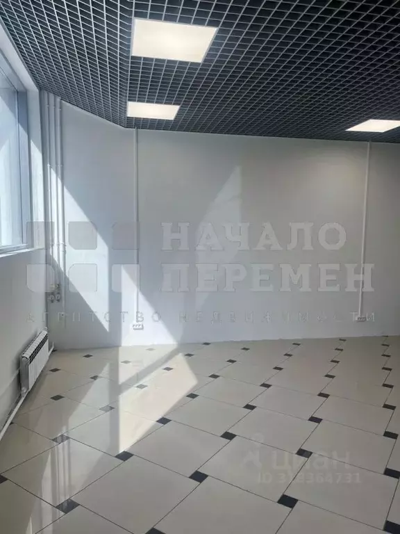 Торговая площадь в Новосибирская область, Новосибирск ул. Гоголя, 33/1 ... - Фото 1
