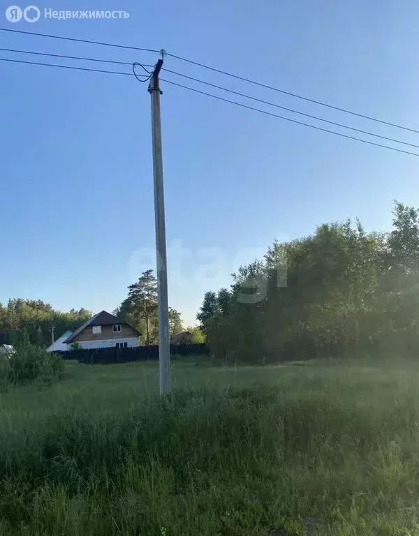 Участок в Первомайский район, Бобровский сельсовет, дачное ... - Фото 2