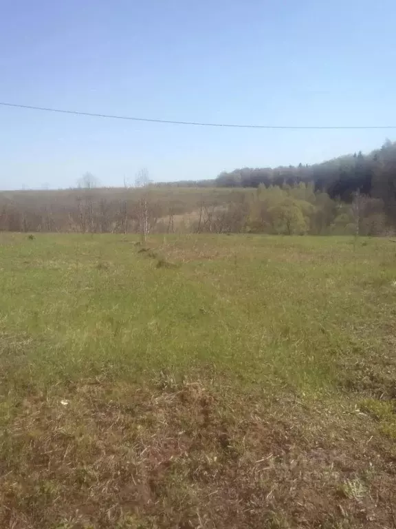 Участок в Калужская область, Боровский муниципальный округ, Иклинское ... - Фото 2