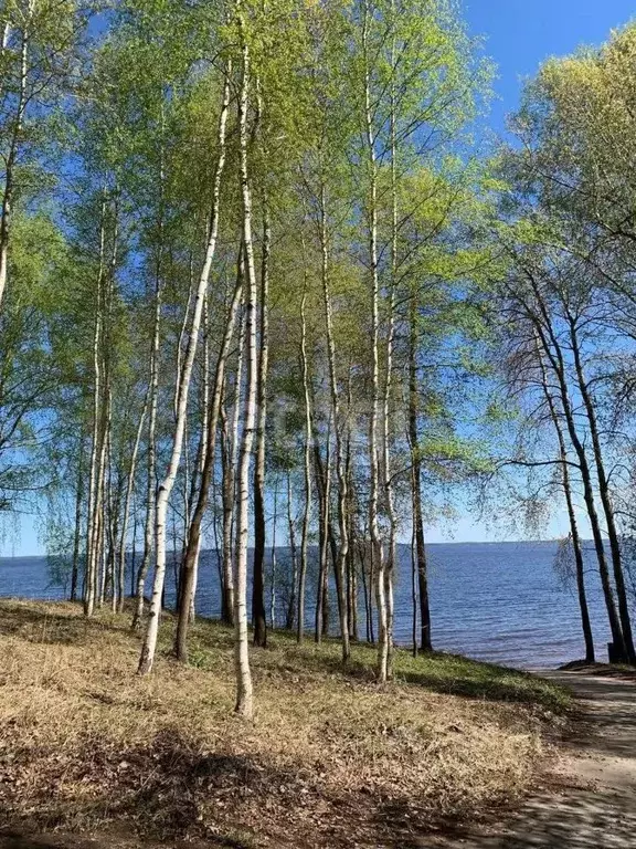 Участок в Нижегородская область, Чкаловск городской округ, д. ... - Фото 1