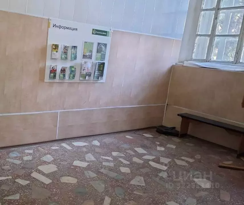 Помещение свободного назначения в Омская область, Омск Октябрьская ... - Фото 2