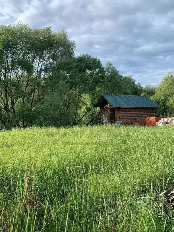 Участок в Калужская область, Дзержинский район, с. Дворцы ул. Лесная, ... - Фото 0