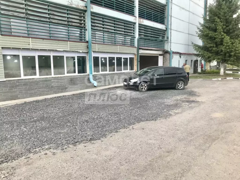 Торговая площадь в Белгородская область, Белгород ул. Есенина, 36А ... - Фото 1