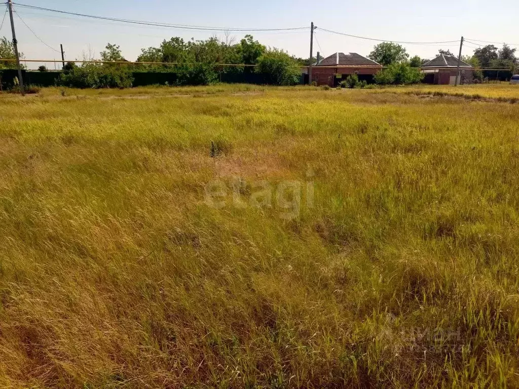 Участок в Краснодарский край, Ейский район, Кухаривское с/пос, ... - Фото 2