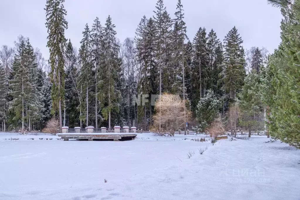 Участок в Московская область, Одинцовский городской округ, д. Лапино, ... - Фото 1