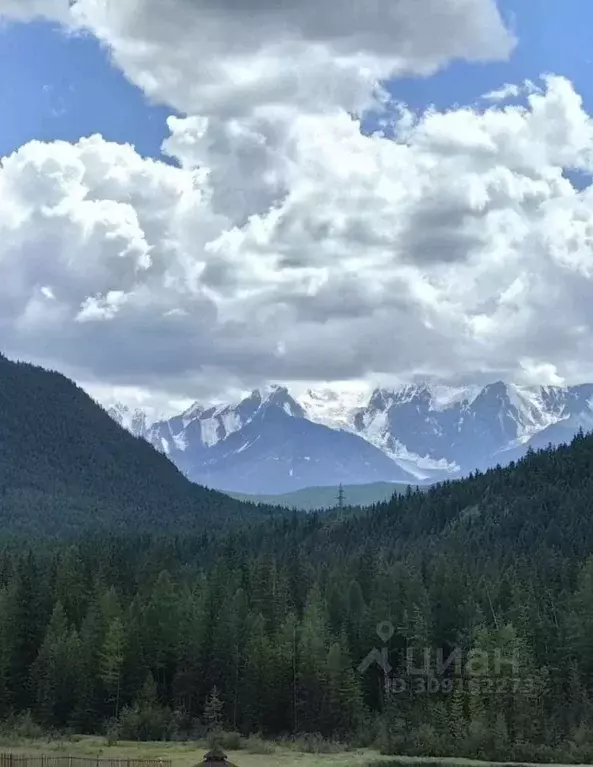 Участок в Алтай, Чемальский район, с. Уожан  (95.0 сот.) - Фото 1