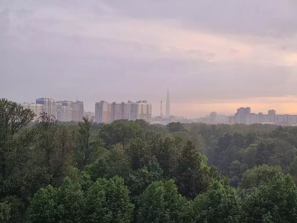 1-к кв. Санкт-Петербург просп. Энгельса, 29 (39.71 м) - Фото 1