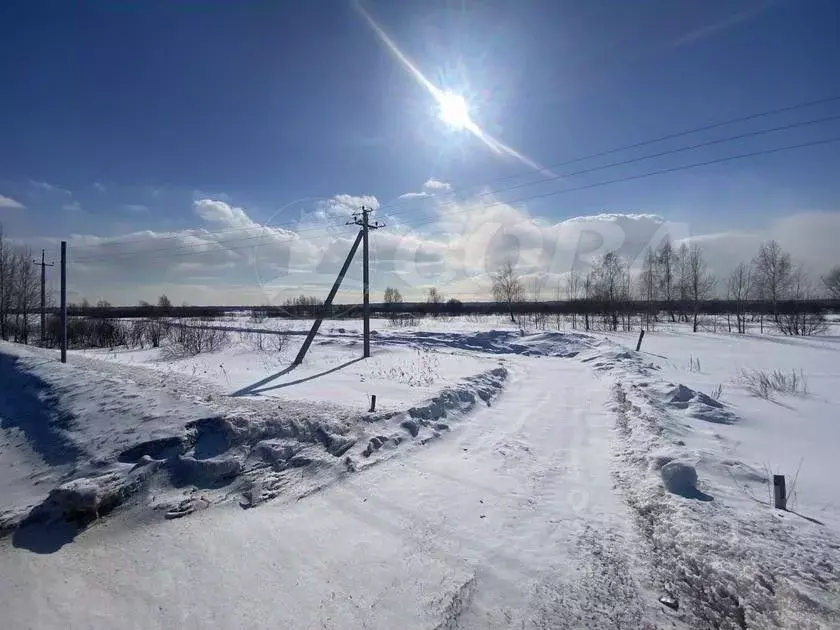 Участок в Тюменская область, Тюменский район, с. Мальково  (320.0 ... - Фото 0