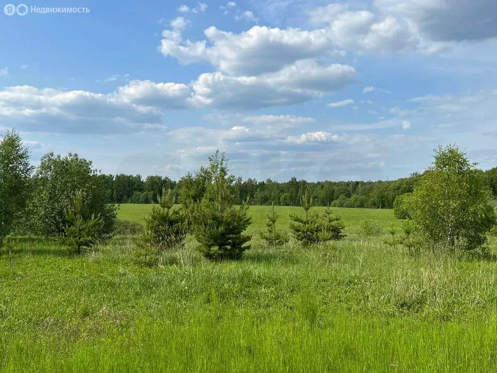 Участок в Раменский городской округ, деревня Кузяево (6 м) - Фото 0