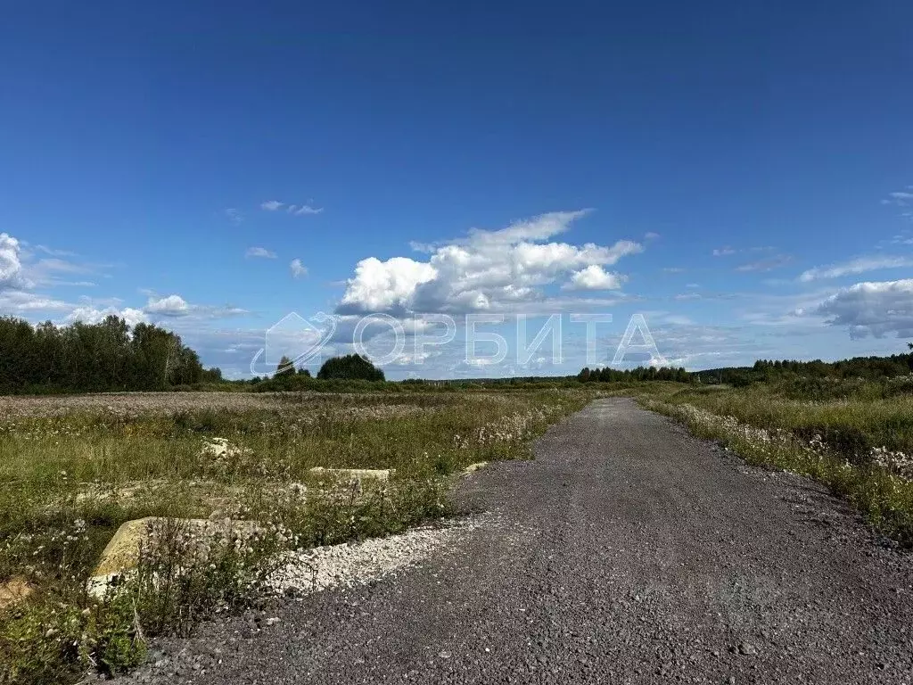 Участок в Свердловская область, Слободо-Туринский район, ... - Фото 0