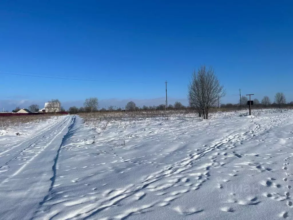 Участок в Псковская область, Псковский район, Логозовская волость  ... - Фото 0