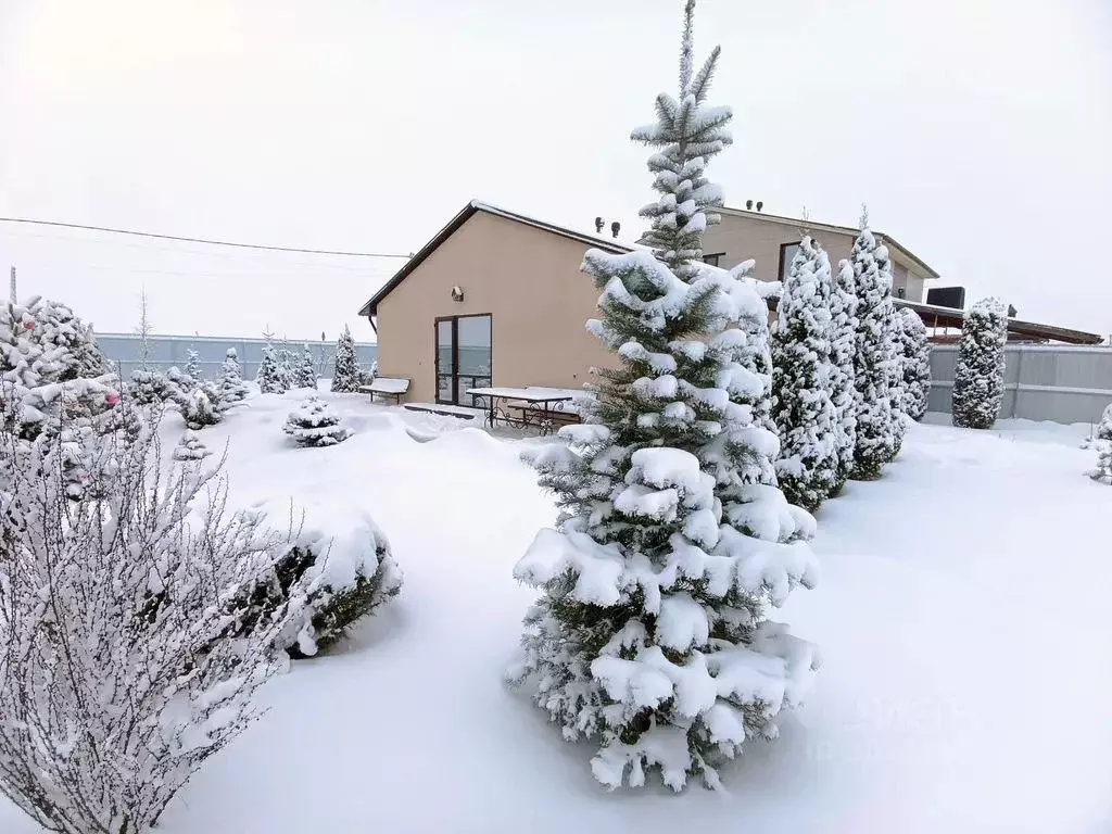 Дом в Белгородская область, Белгородский район, Новосадовское с/пос, ... - Фото 2