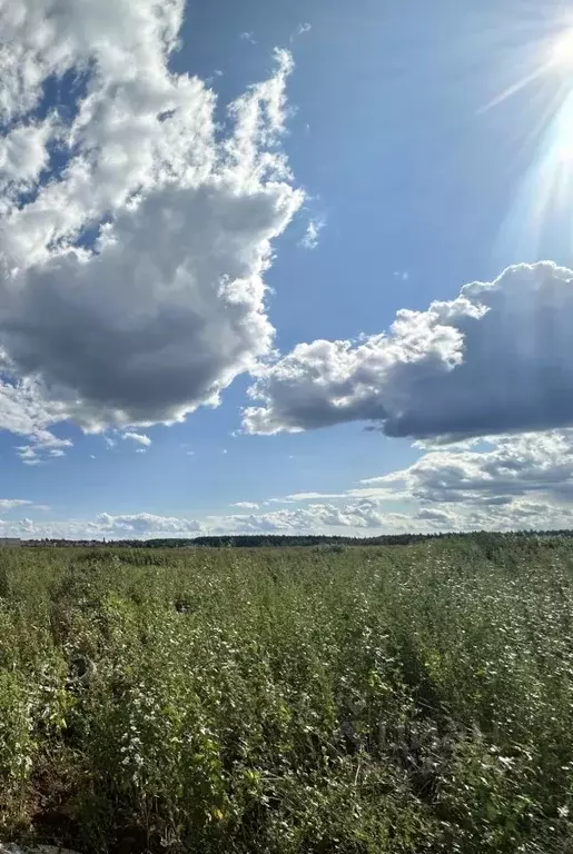 Участок в Московская область, Клин городской округ, Гея садовое ... - Фото 1