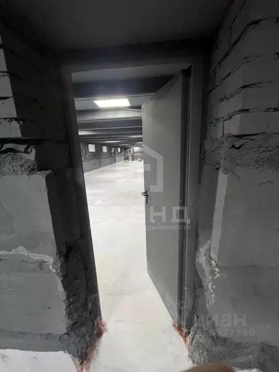 Помещение свободного назначения в Санкт-Петербург Стрельбищенская ул., ... - Фото 1
