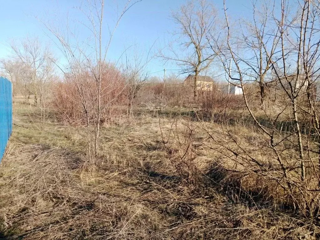 Участок в Ростовская область, Родионово-Несветайский район, ... - Фото 2