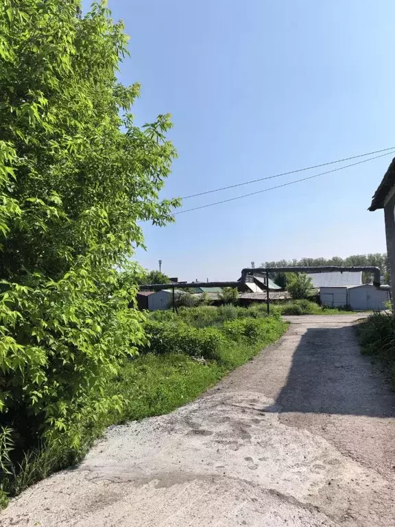 Участок в Новосибирская область, Черепаново Партизанская ул., 43 (0.48 ... - Фото 2