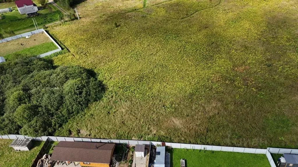 Участок в Московская область, Волоколамский муниципальный округ, д. ... - Фото 1