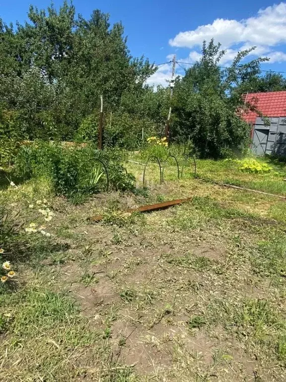 Участок в Саратовская область, Саратов проезд 5-й Большой Семхозовский ... - Фото 2