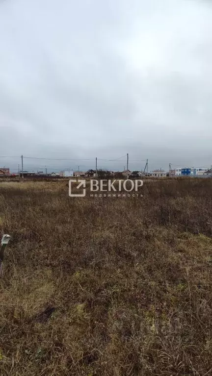 Участок в Костромская область, Кострома Первый кп, проезд Пыщугский, 3 ... - Фото 1