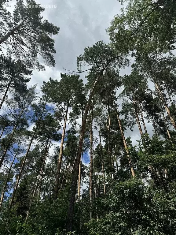 Участок в Одинцовский городской округ, посёлок дома отдыха Успенское ... - Фото 0