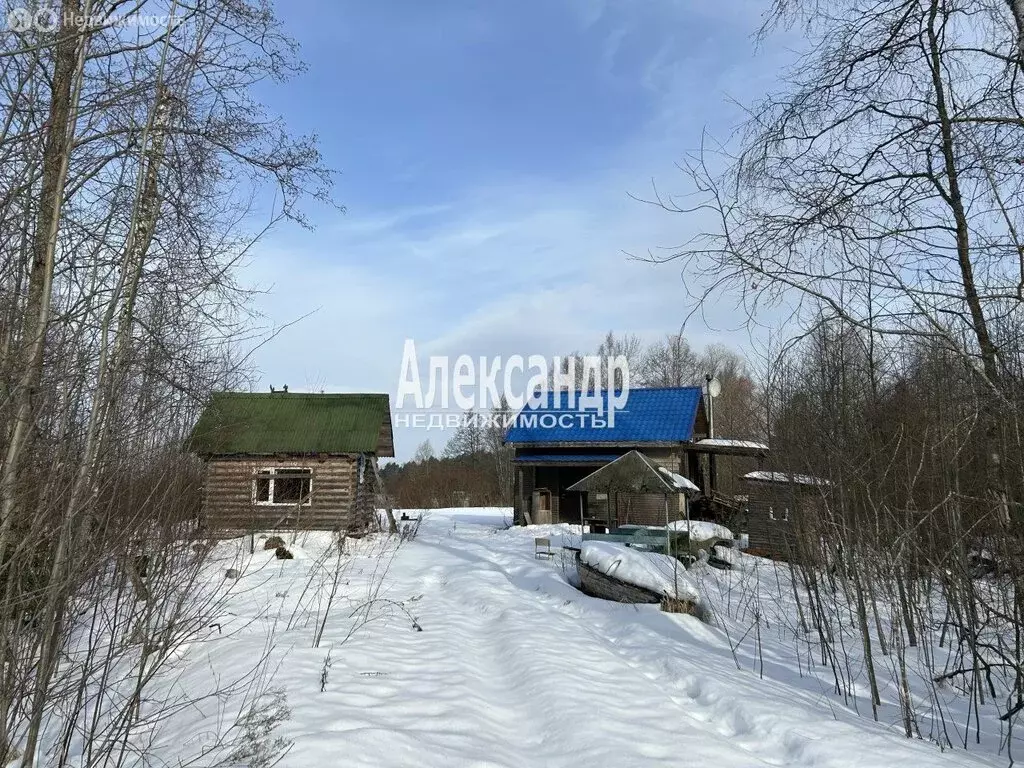 Дом в Приозерск, Дачная улица, 15 (49.3 м) - Фото 1