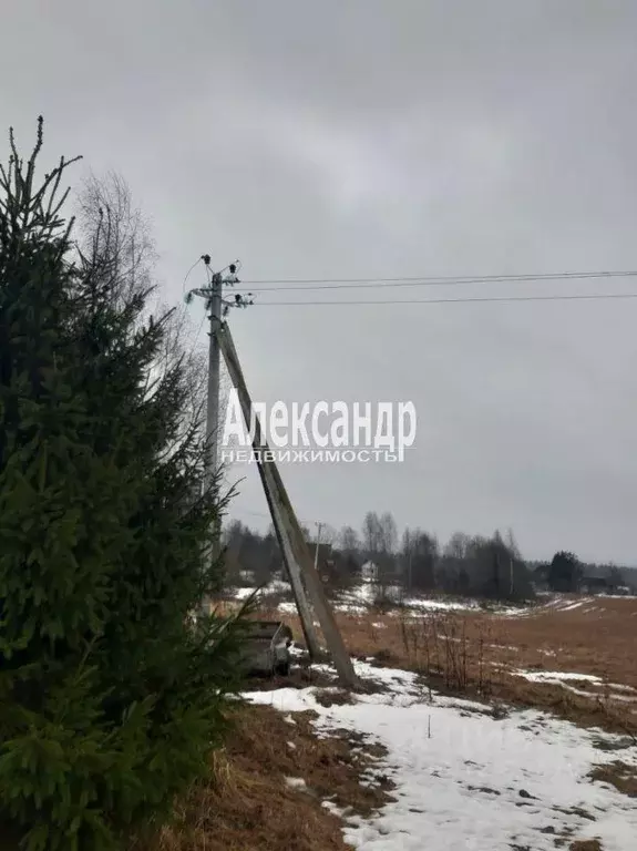 Участок, 277 сот., фермерское хоз-во - Фото 0
