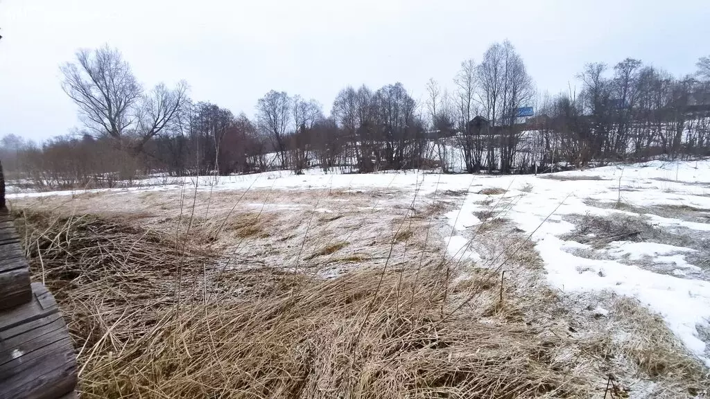 Участок в Пермский край, Чернушинский муниципальный округ, деревня ... - Фото 1