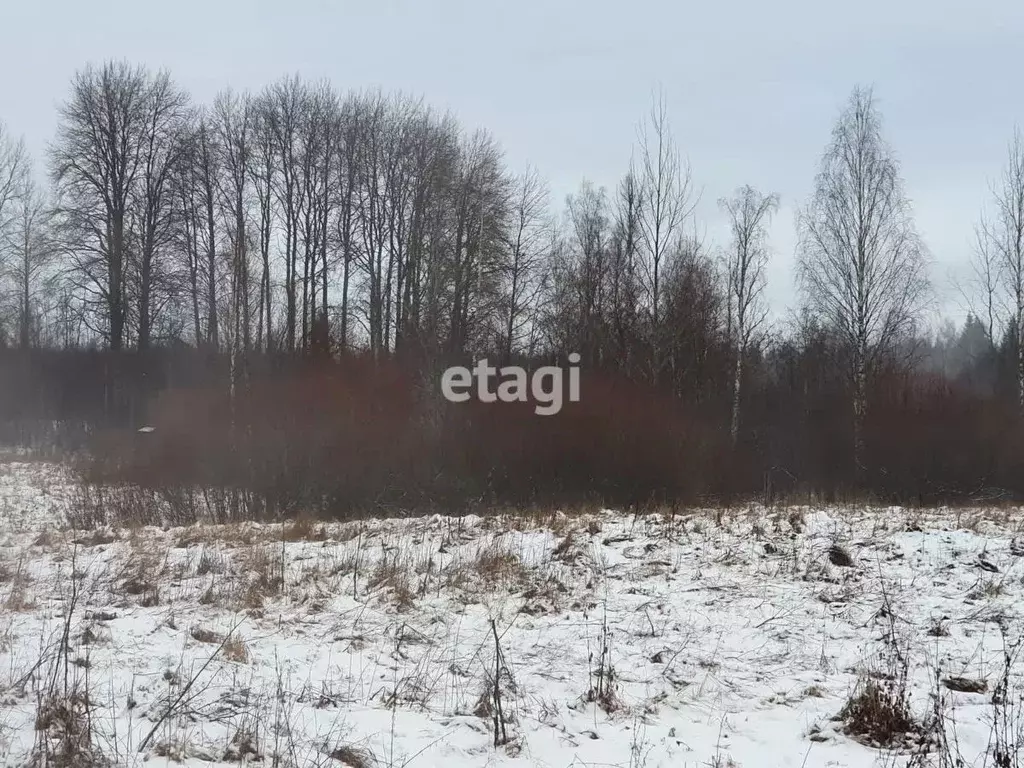 Участок в Ленинградская область, Выборгский район, Советское городское ... - Фото 1