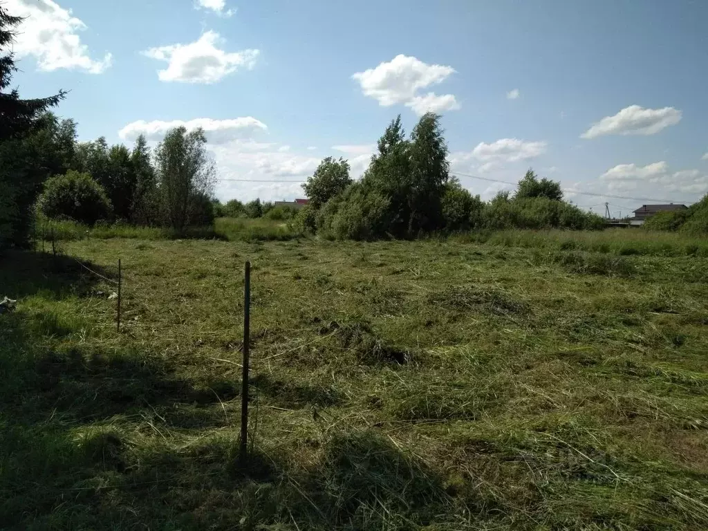 Участок в Ярославская область, Ярославский муниципальный округ, с. ... - Фото 1