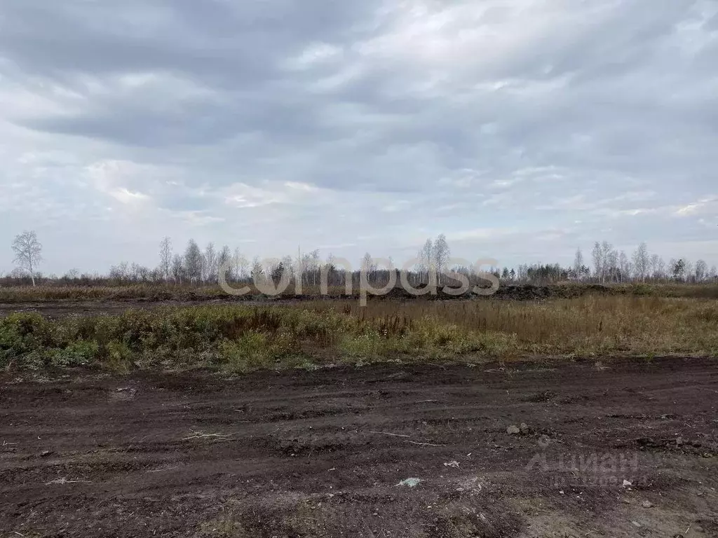 Участок в Тюменская область, Тюмень Садовое товарищество Липовый ... - Фото 0