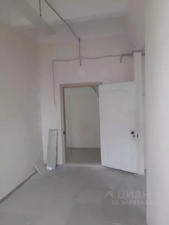 Помещение свободного назначения в Пензенская область, Пенза ул. ... - Фото 1