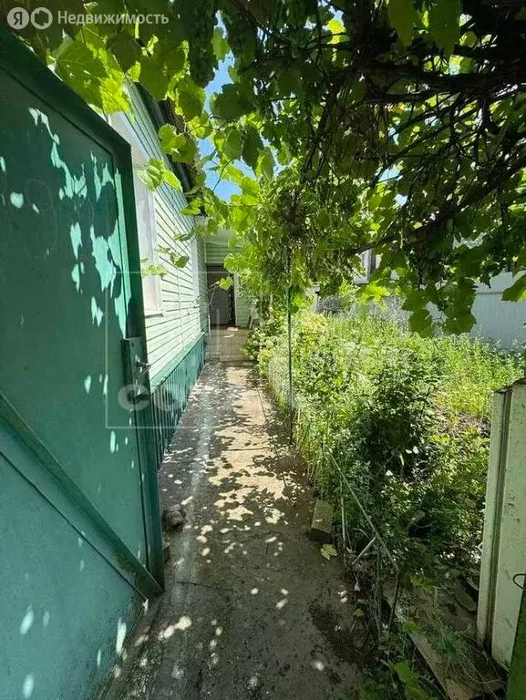 Дом в Воронеж, улица Врубеля, 39 (50.5 м) - Фото 0