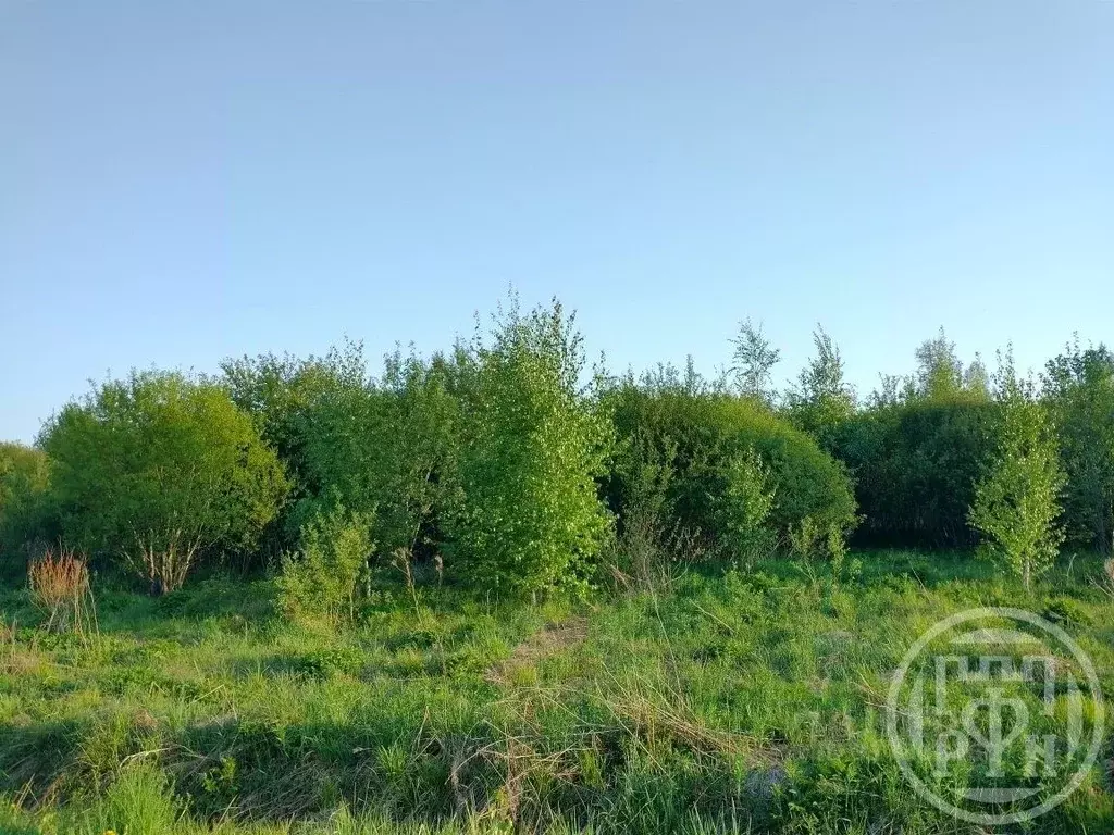 Участок в Ленинградская область, Выборгский район, Рощинское городское ... - Фото 1