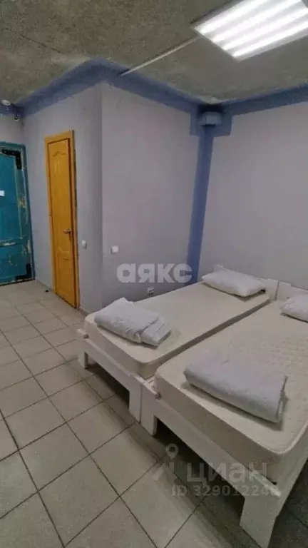 Студия Краснодарский край, Анапа ул. Кирова, 1 (16.7 м) - Фото 2