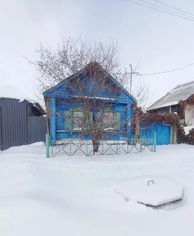 Дом в Челябинская область, Красноармейский район, с. Канашево ... - Фото 1