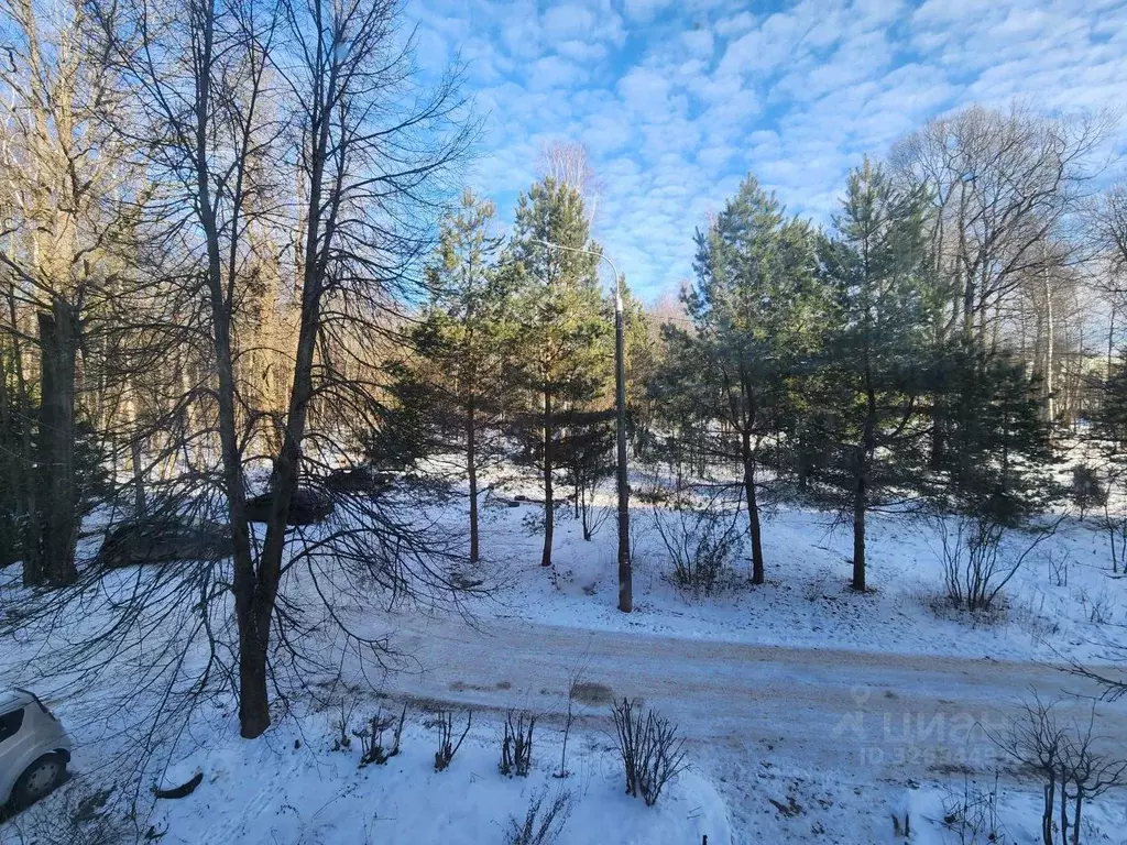 1-к кв. Московская область, Чехов муниципальный округ, д. Алексеевка, ... - Фото 2