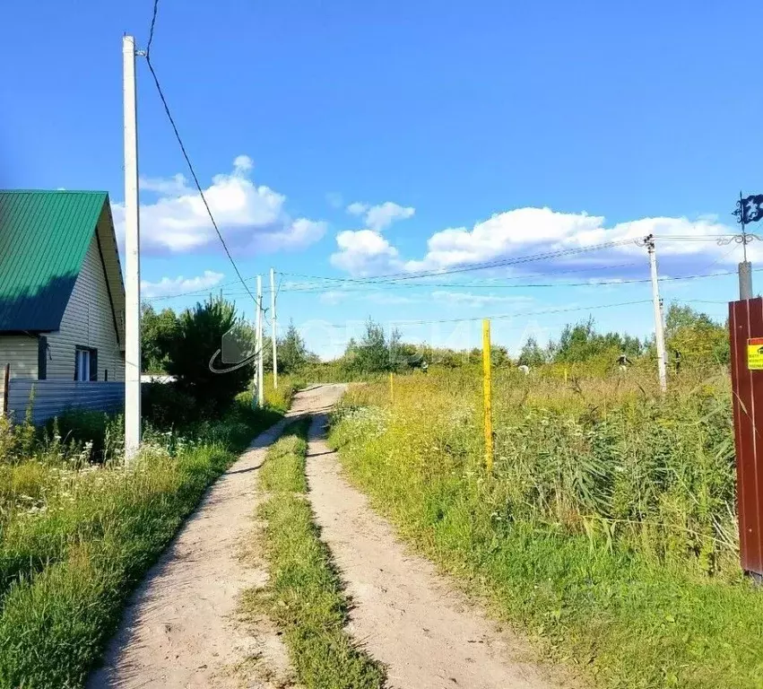 Участок в Тюменская область, Нижнетавдинский район, У Сосны ... - Фото 0