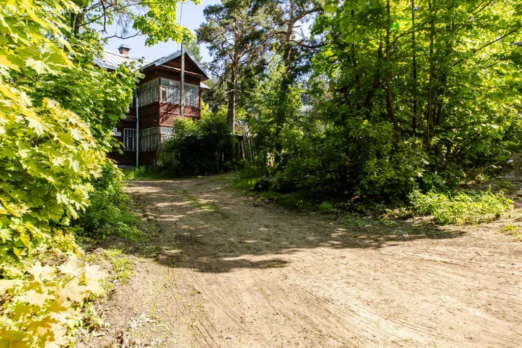 Участок в Сестрорецк, Ермоловский переулок, 5 (20.6 м) - Фото 2